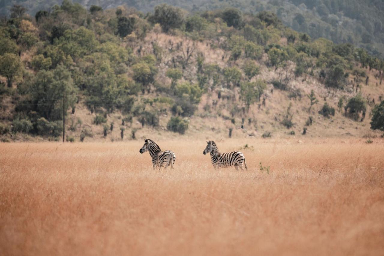 Dawsons Game Lodge バドプラース エクステリア 写真